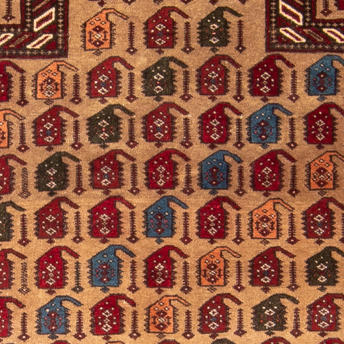 Persisk matta - Classic - 145 x 100 cm - flerfärgad