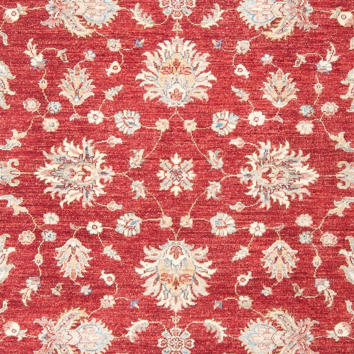 Ziegler Carpet - 243 x 178 cm - röd