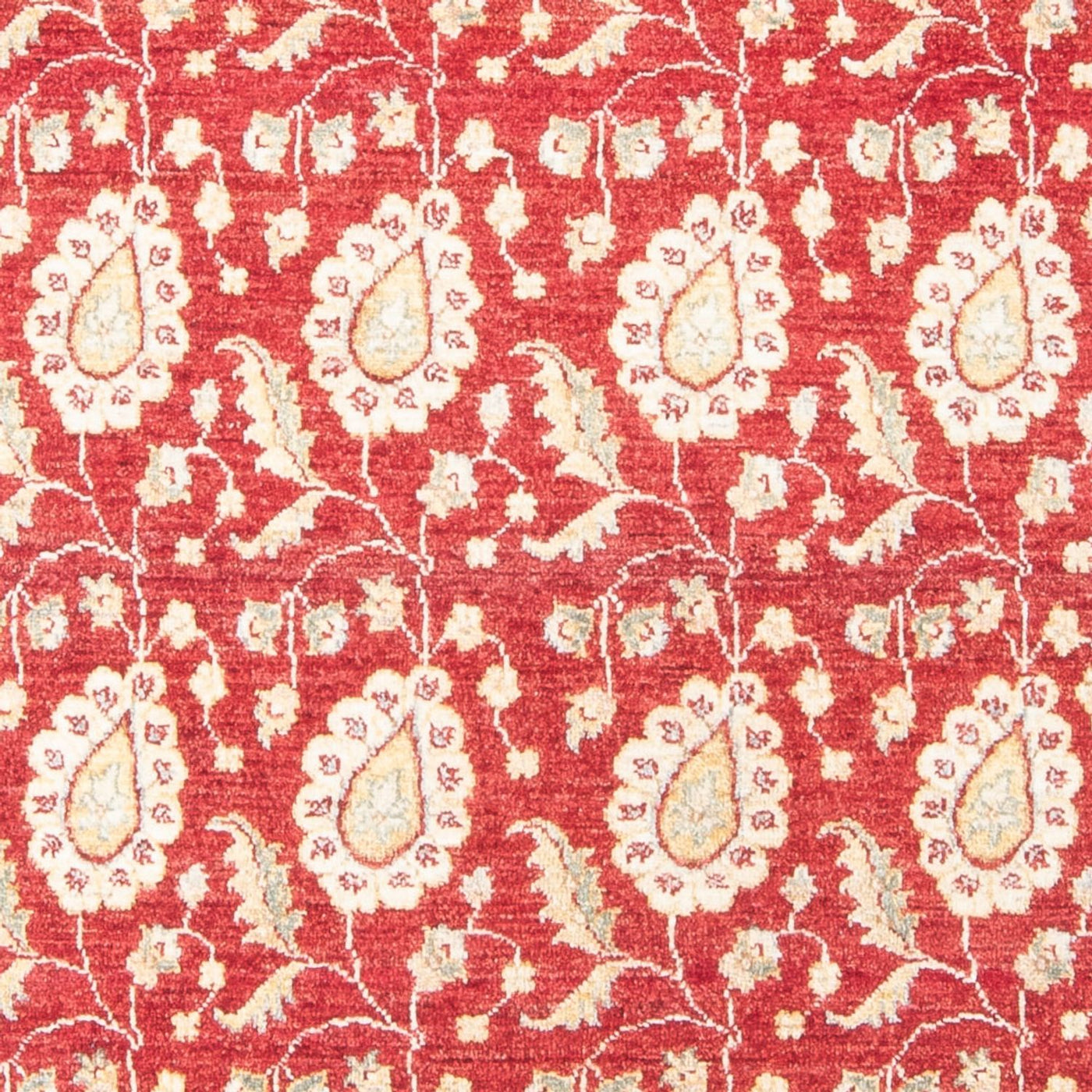 Ziegler Carpet 174x121cm - Oriental Carpet