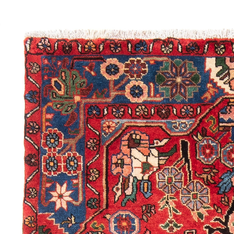 Persisk matta - Nomadic - 171 x 119 cm - röd