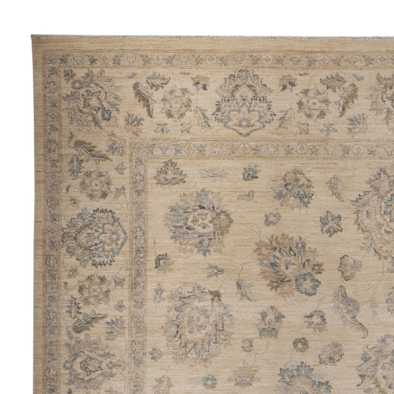 Ziegler Carpet - 304 x 247 cm - flerfärgad