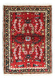 Hamadan Mattan 70x50cm - Persisk matta