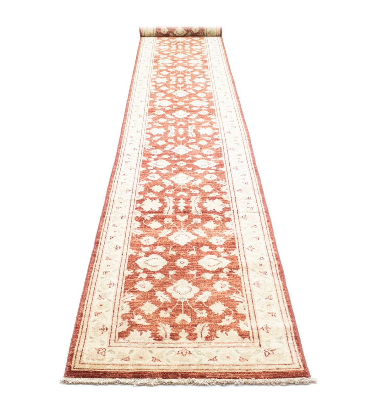 Runner Ziegler Carpet - 532 x 76 cm - brun