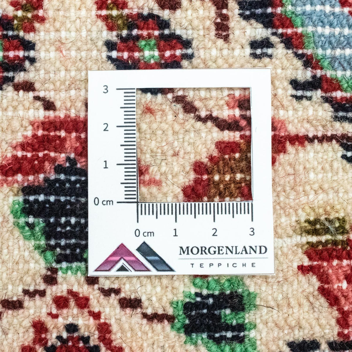 Persisk matta - Nomadic - 90 x 60 cm - flerfärgad