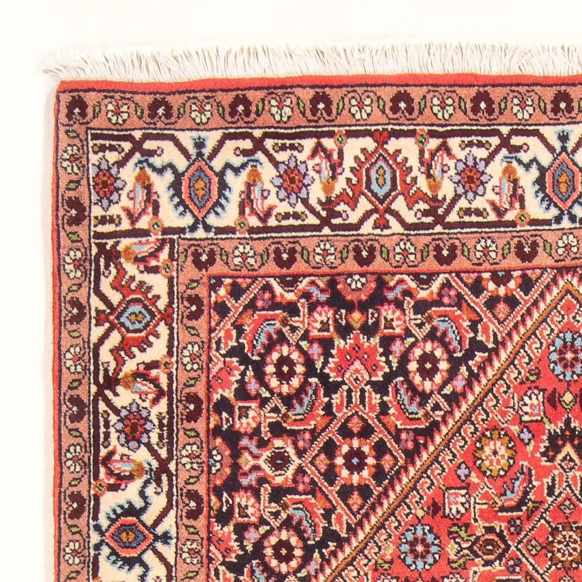 Bidjar - Bukan Mattan 87x150cm - Persisk matta - röd