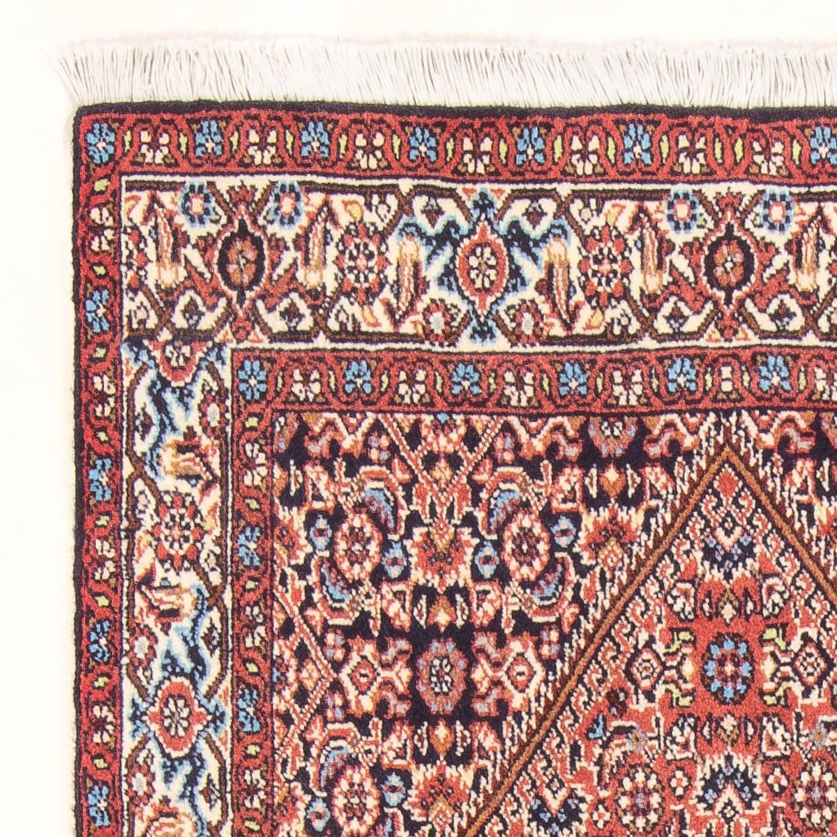Bidjar - Bukan Mattan 82x151cm - Persisk matta - röd
