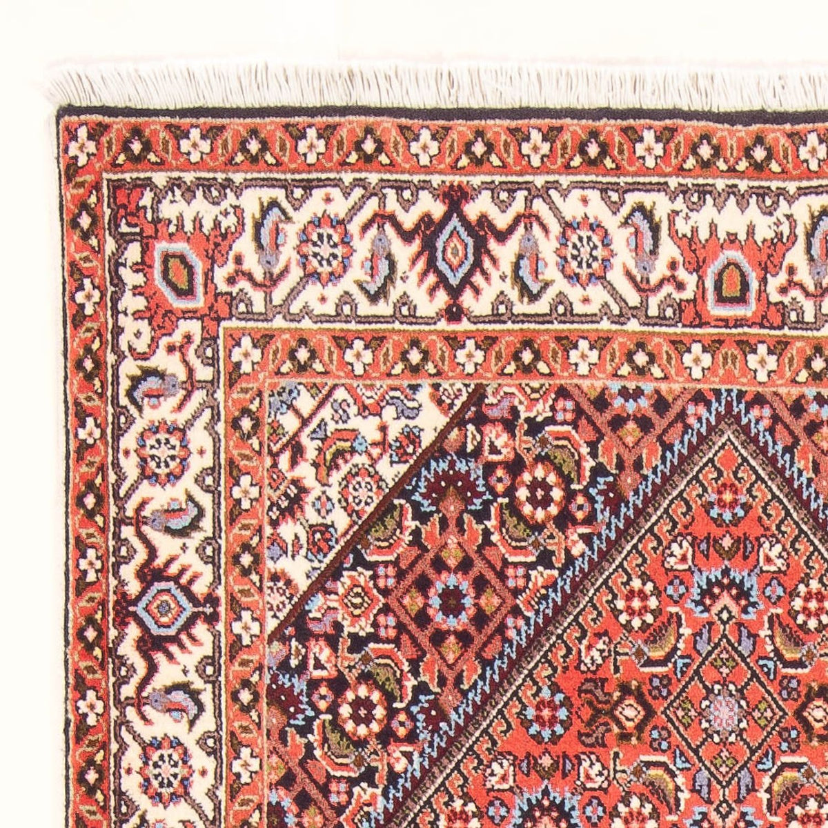 Bidjar - Bukan Mattan 83x154cm - Persisk matta - röd
