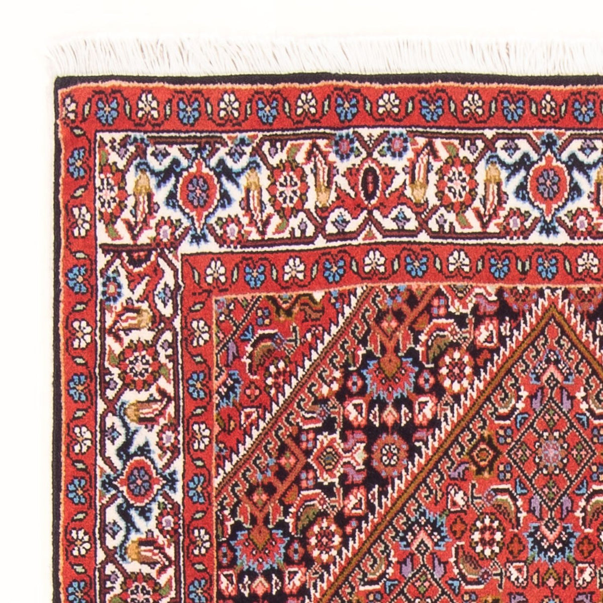 Bidjar - Bukan Mattan 83x150cm - Persisk matta - röd