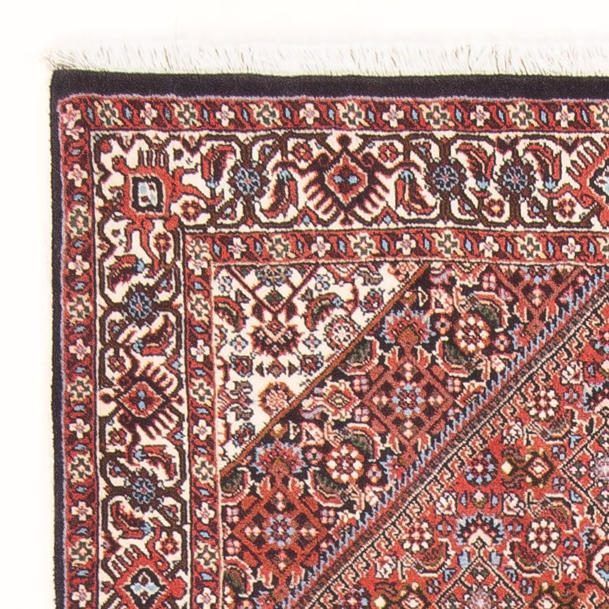 Bidjar - Bukan Mattan 88x134cm - Persisk matta - röd