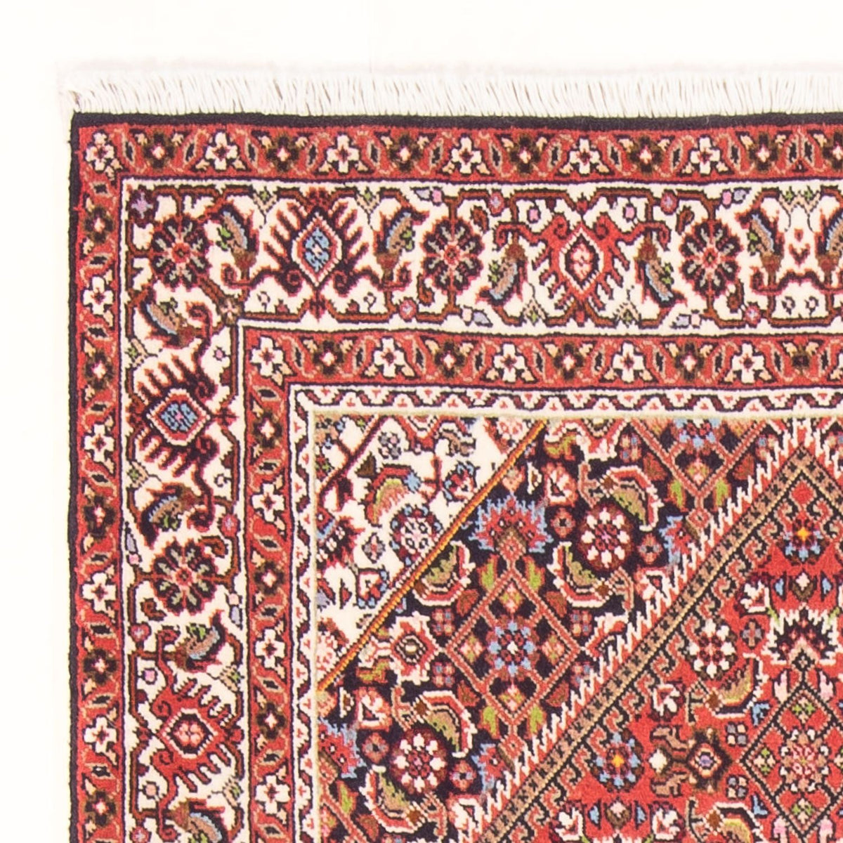 Bidjar - Bukan Mattan 88x148cm - Persisk matta - röd