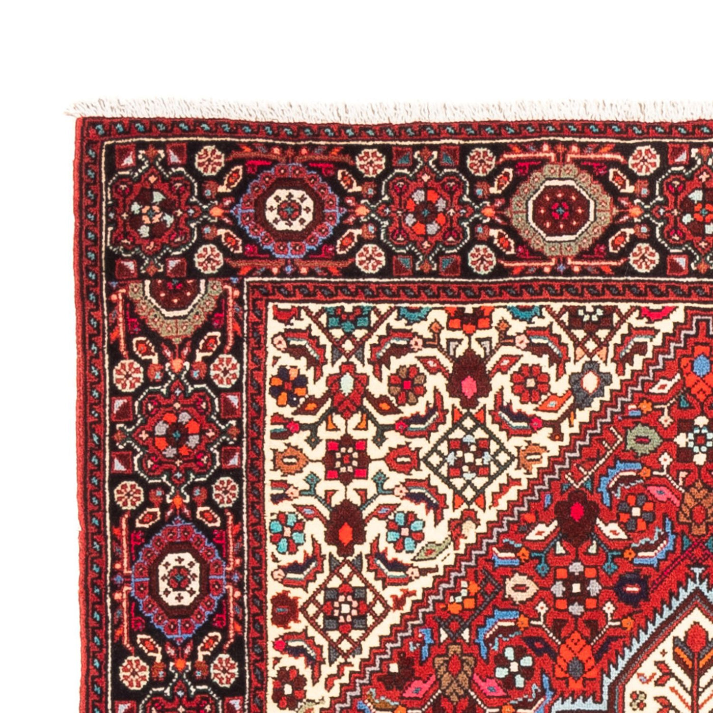 Gholtogh Mattan 153x101cm - Persisk matta