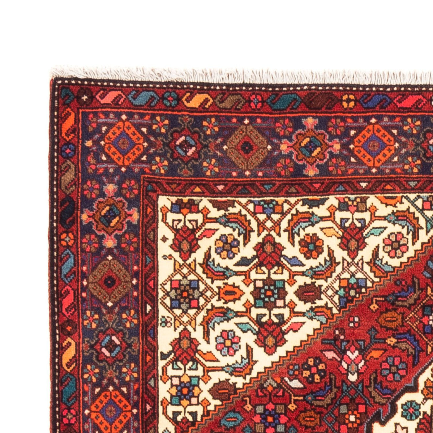 Gholtogh Mattan 155x100cm - Persisk matta