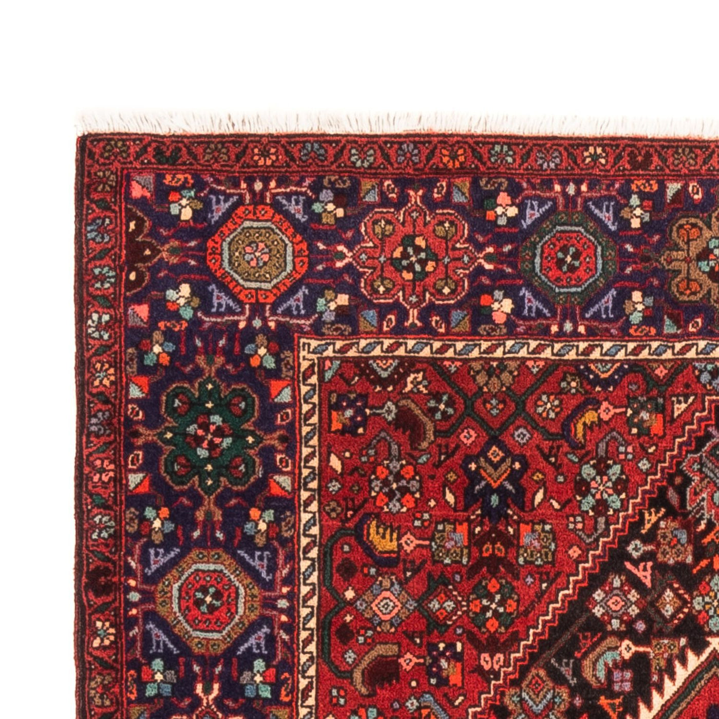 Gholtogh Mattan 152x100cm - Persisk matta