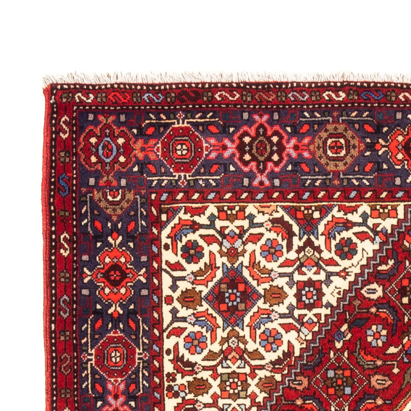 Gholtogh Mattan 155x100cm - Persisk matta