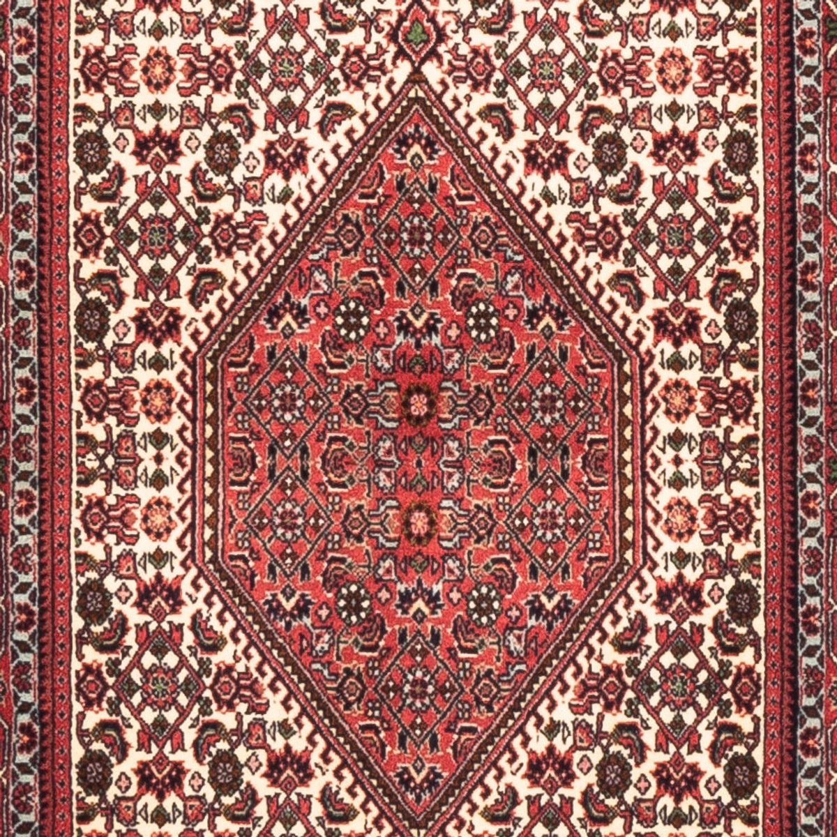 Runner Persisk matta - Bijar - Royal - 225 x 80 cm - grädde