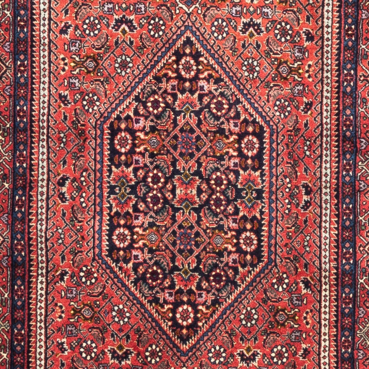 Runner Persisk matta - Bijar - 226 x 77 cm - röd