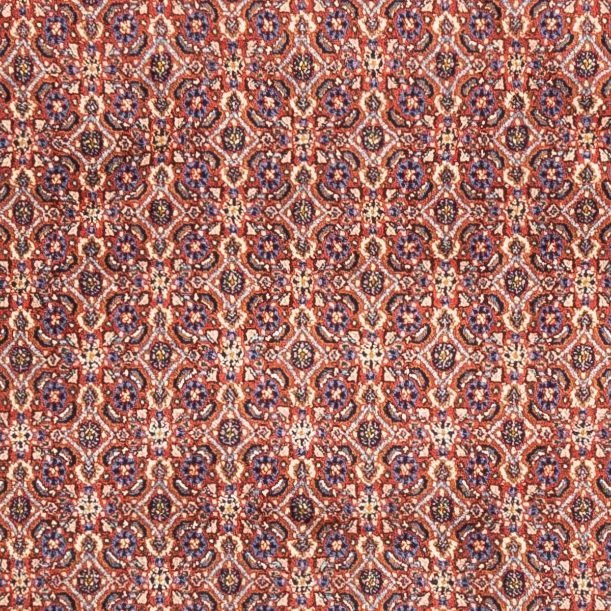 Persisk matta - Classic - 247 x 202 cm - ljusröd