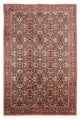 Bidjar Mattan 305x200cm - Persisk matta