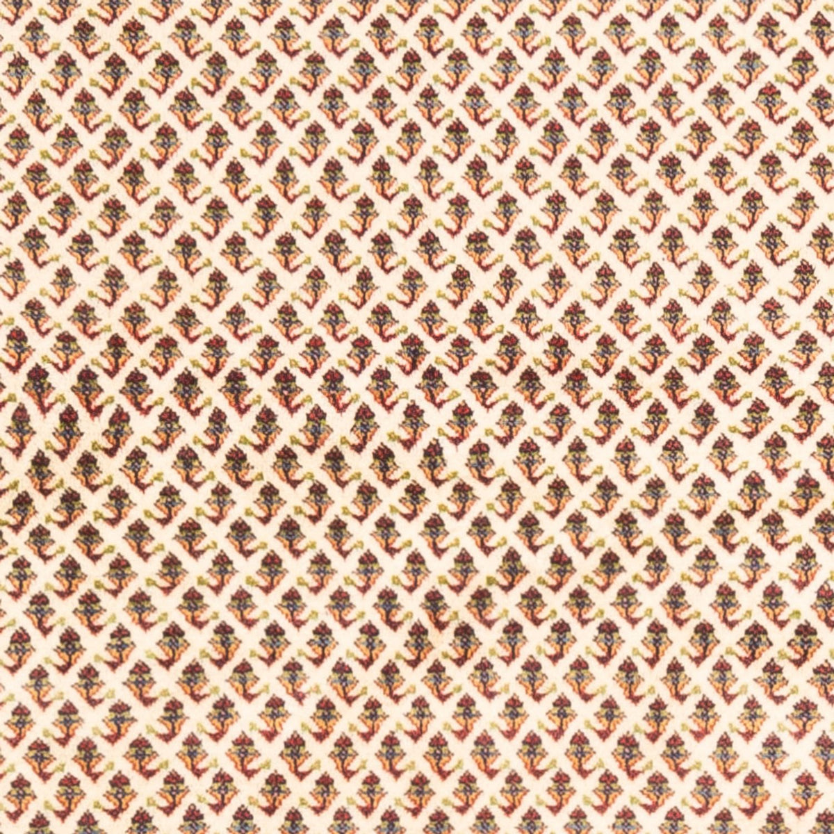 Persisk matta - Mir - 250 x 210 cm - ljusbeige