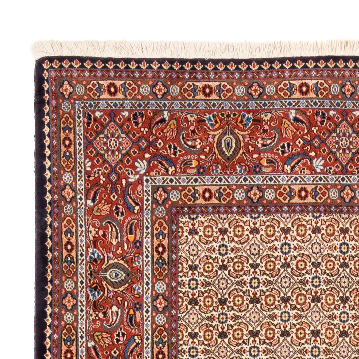 Persisk matta - Classic - 250 x 195 cm - mörk beige