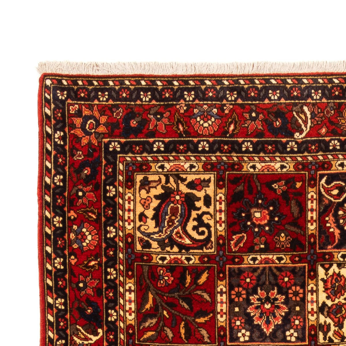 Persisk matta - Nomadic - 243 x 150 cm - flerfärgad