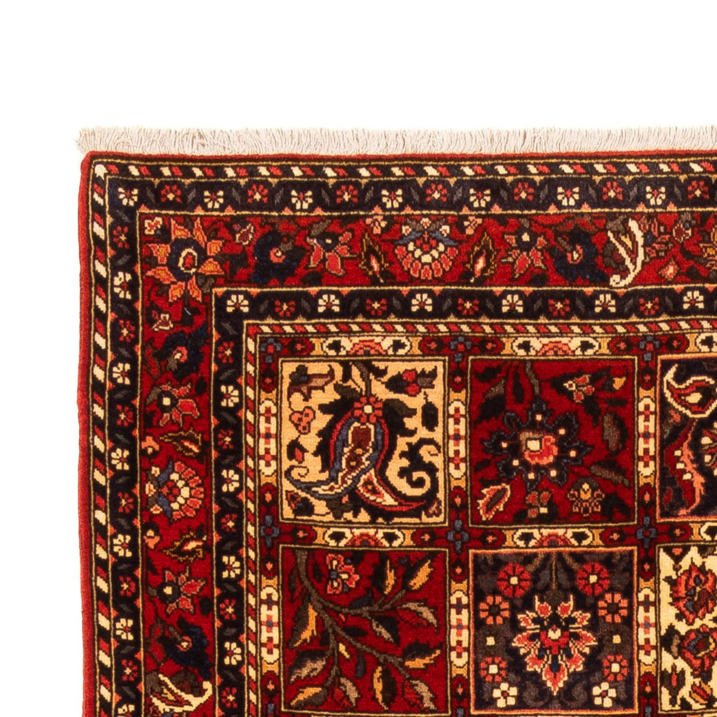 Bakhtiari Mattan 243x150cm - Persisk matta
