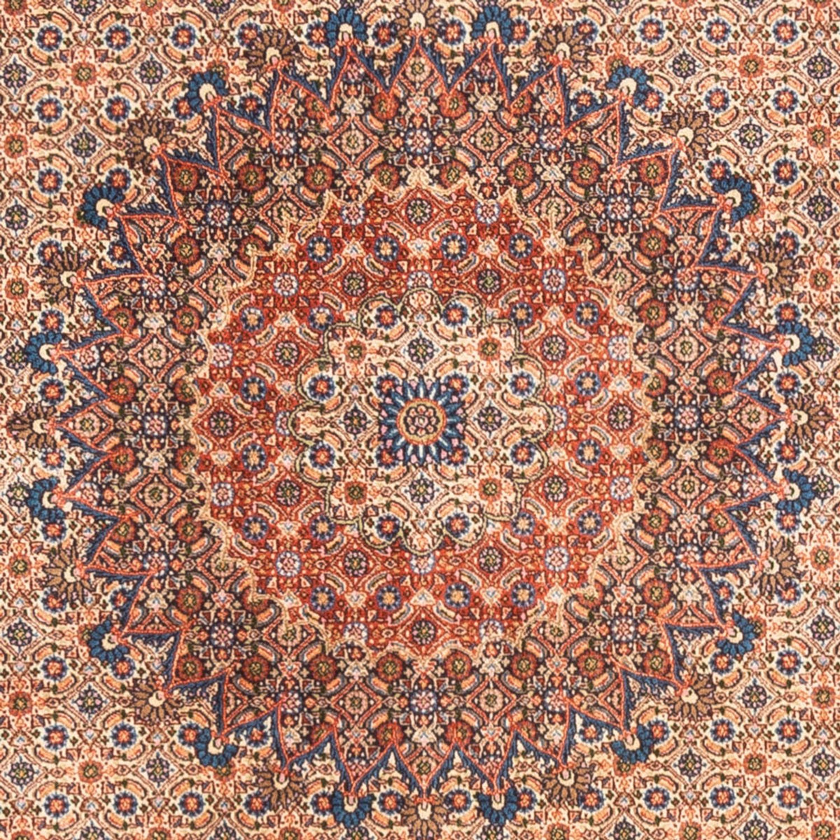 Persisk matta - Classic - 244 x 194 cm - mörk beige