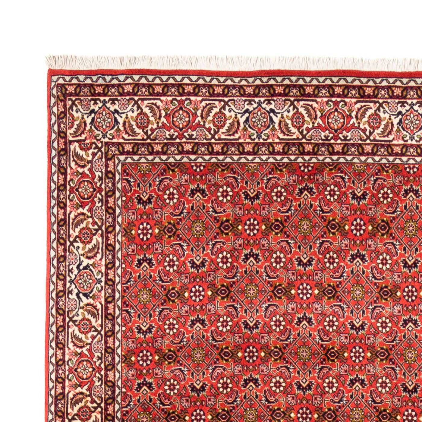 Bidjar - Bukan Mattan 242x168cm - Persisk matta