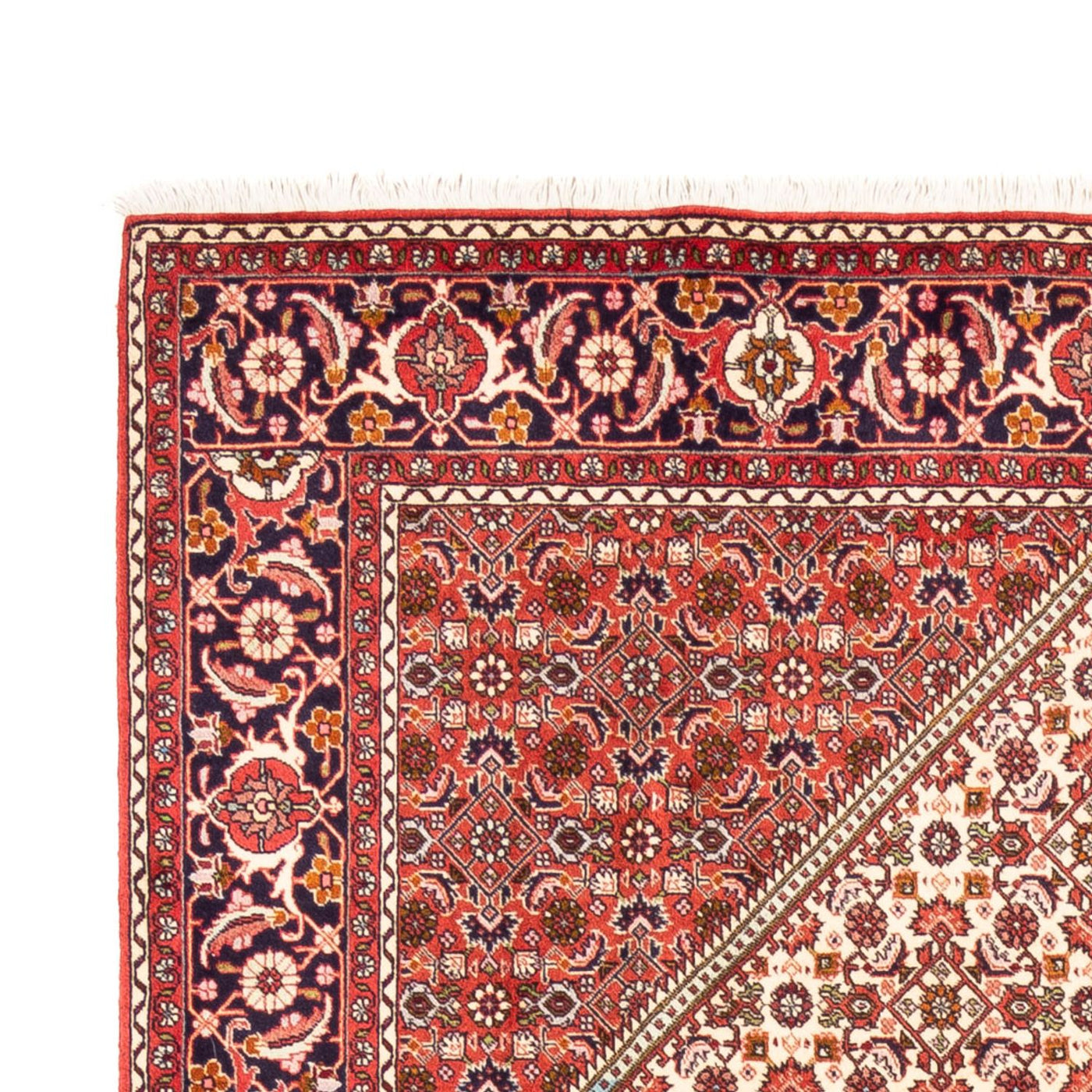 Persisk matta - Bijar - Royal - 249 x 170 cm - beige