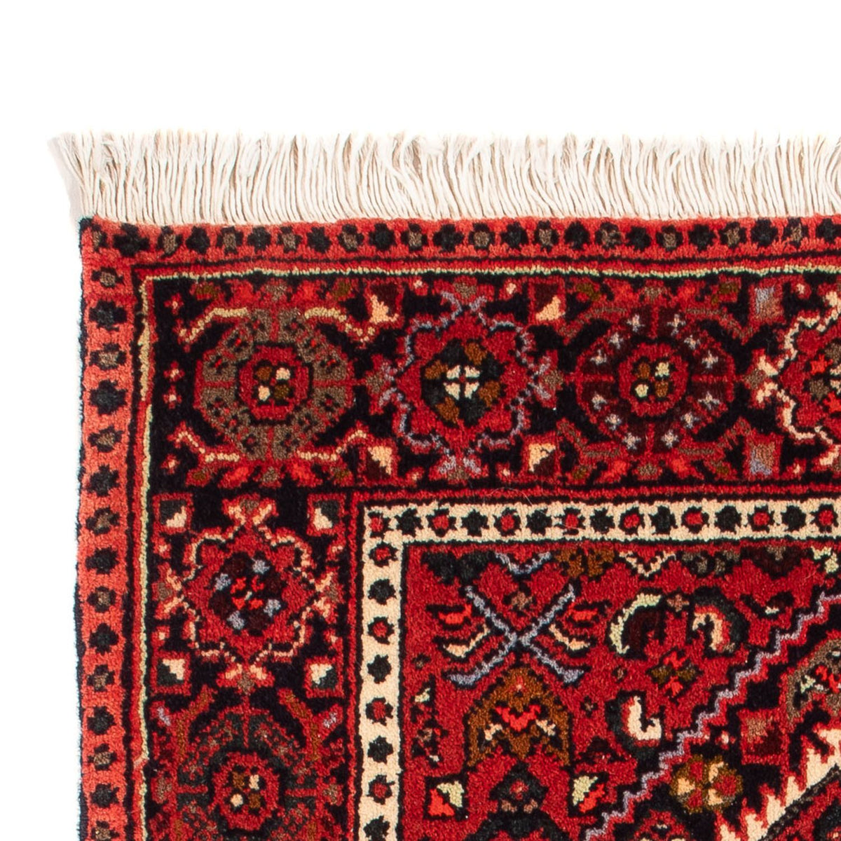 Gholtogh Mattan 60x95cm - Persisk matta