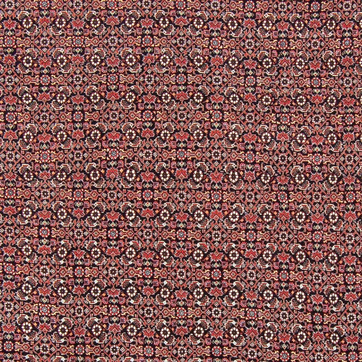 Persisk matta - Bijar - Royal - 247 x 196 cm - mörkblå