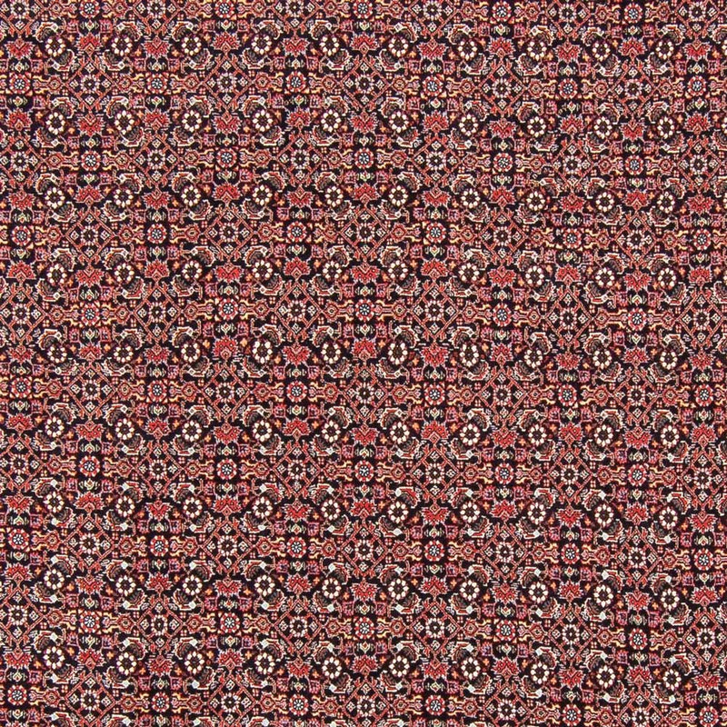 Persisk matta - Bijar - Royal - 247 x 196 cm - mörkblå