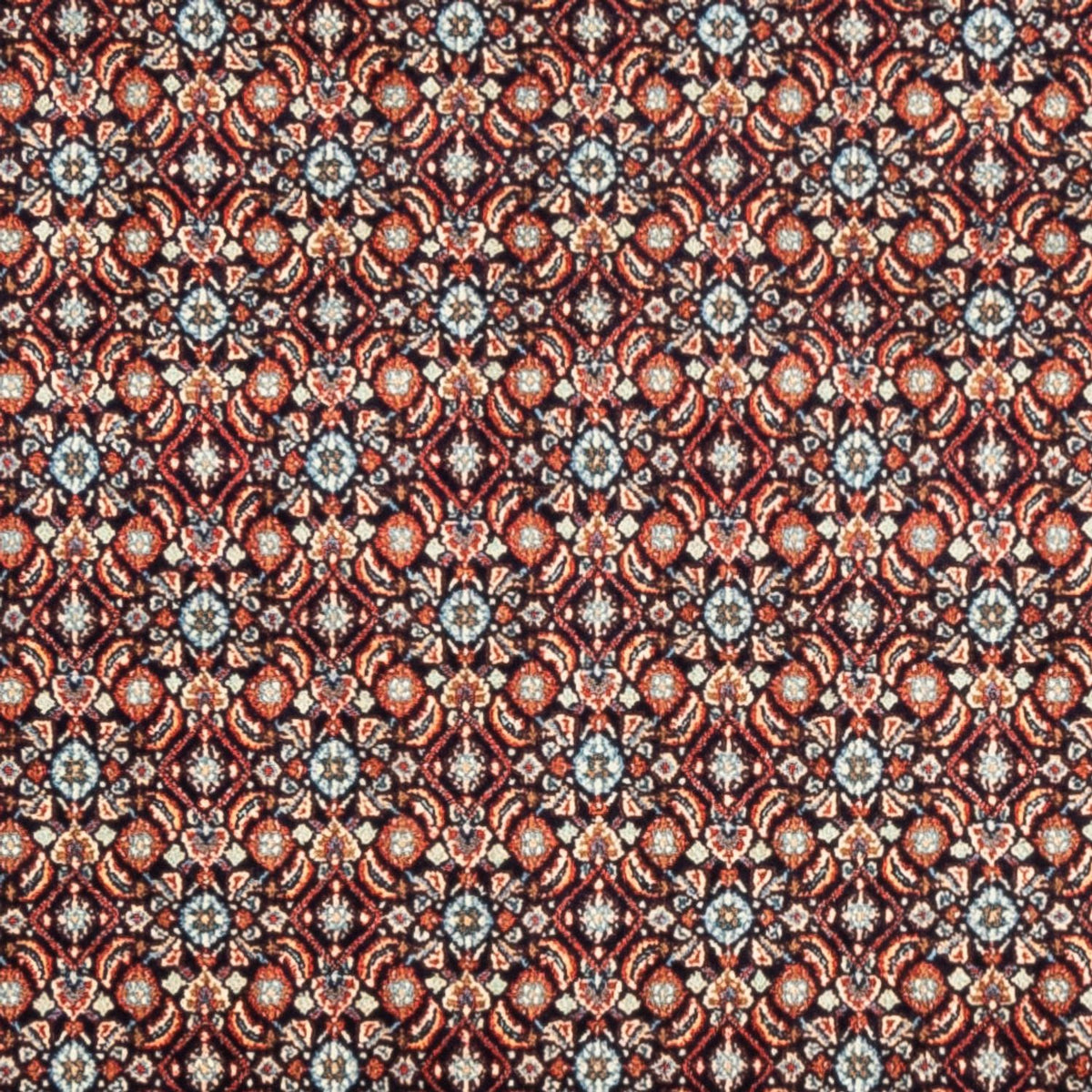 Persisk matta - Classic - 244 x 197 cm - mörk beige