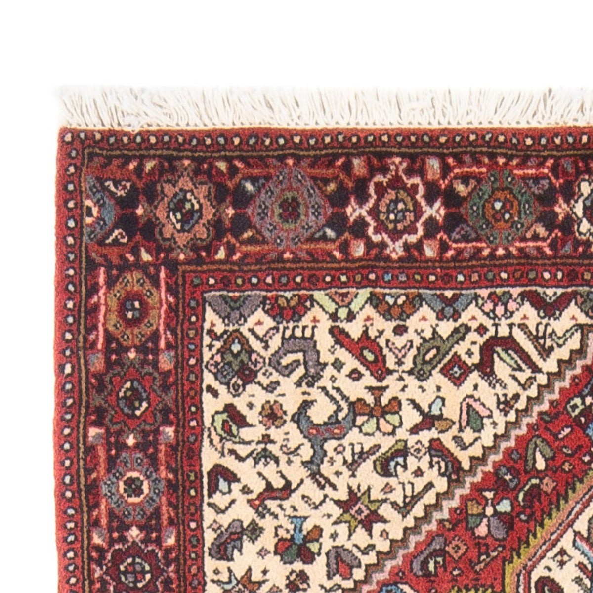 Gholtogh Mattan 80x126cm - Persisk matta