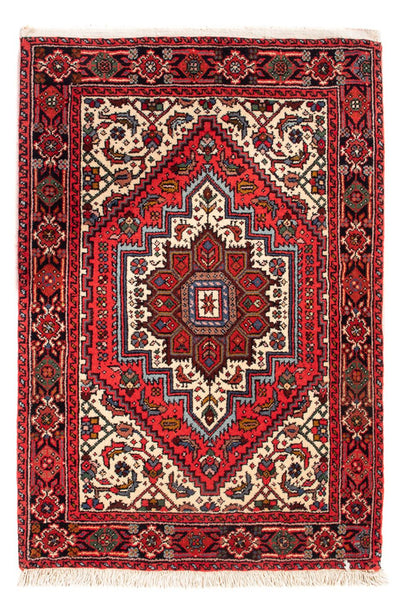 Gholtogh Mattan 62x91cm - Persisk matta