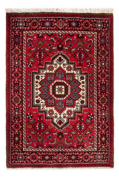 Gholtogh Mattan 62x87cm - Persisk matta