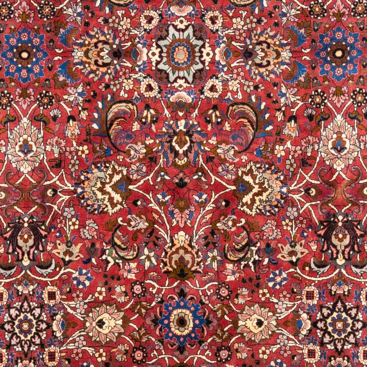 Persisk matta - Bijar - Royal - 246 x 197 cm - bordeaux röd