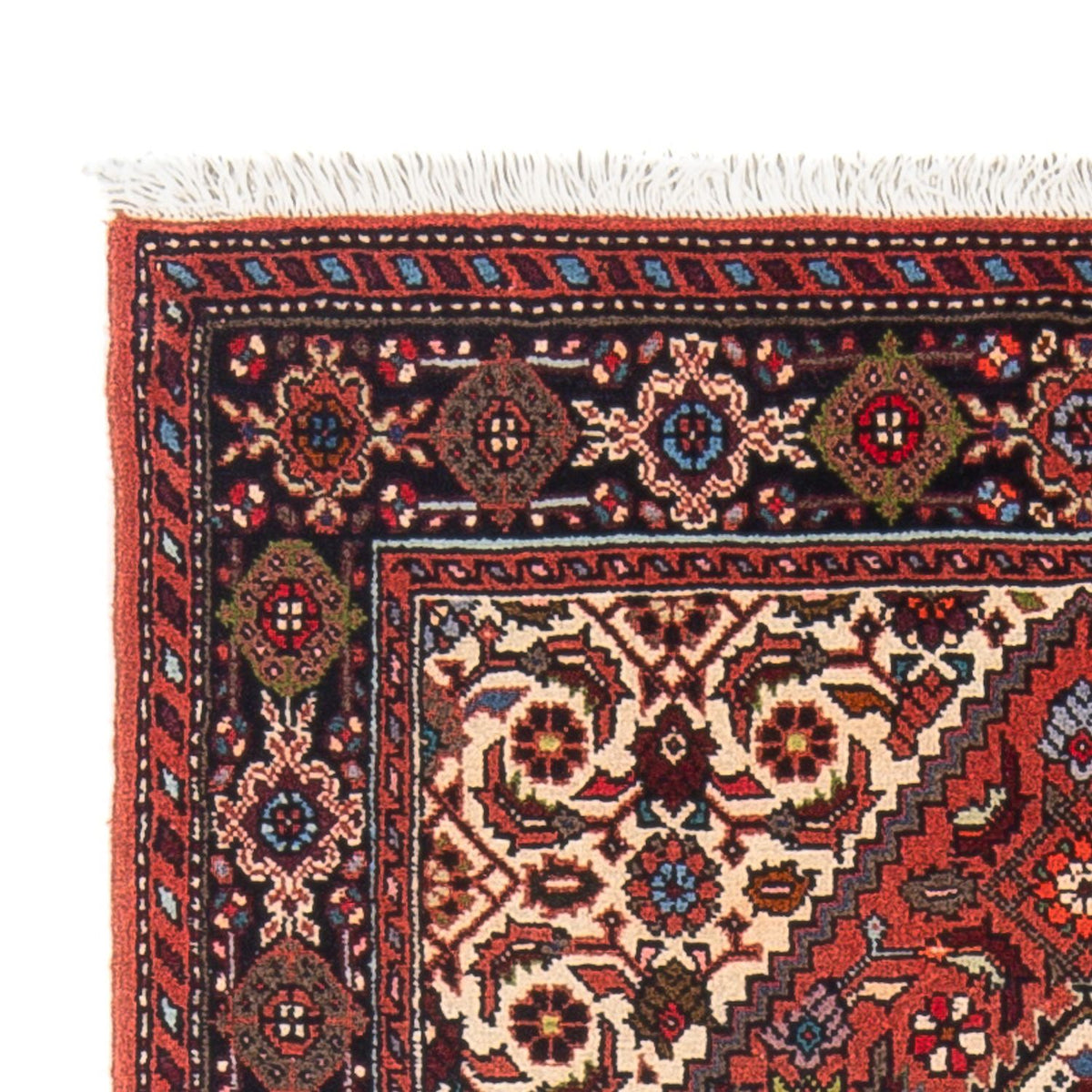 Gholtogh Mattan 75x125cm - Persisk matta