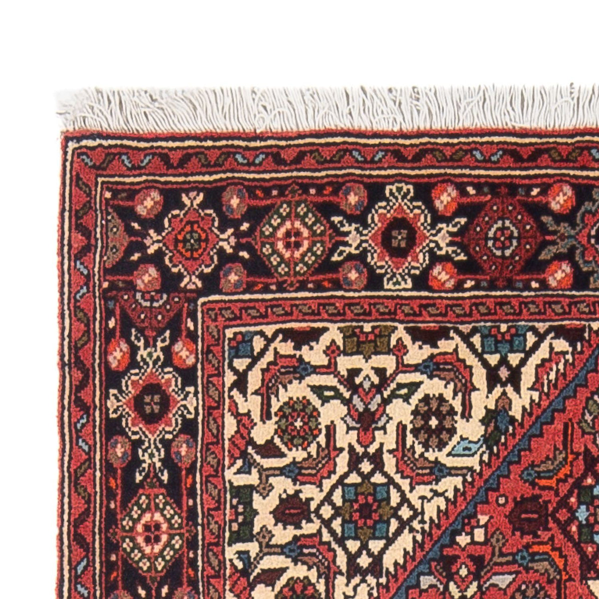 Gholtogh Mattan 75x125cm - Persisk matta