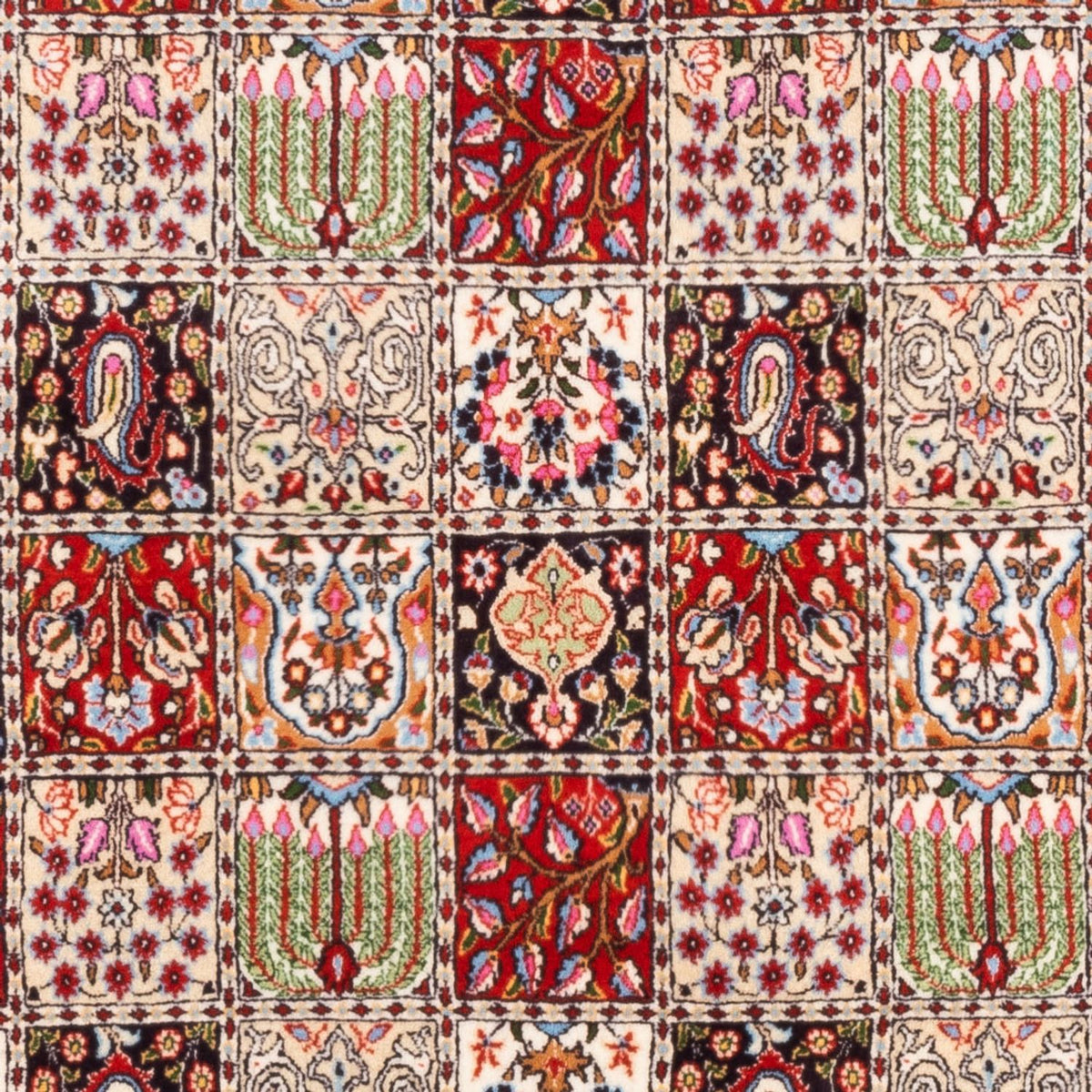 Persisk matta - Classic - 244 x 165 cm - flerfärgad