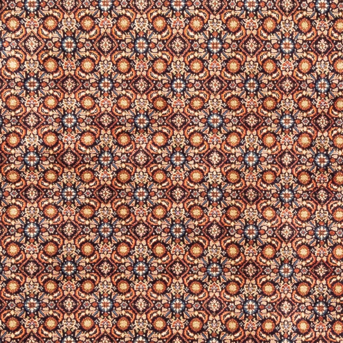Persisk matta - Classic - 246 x 193 cm - mörk beige