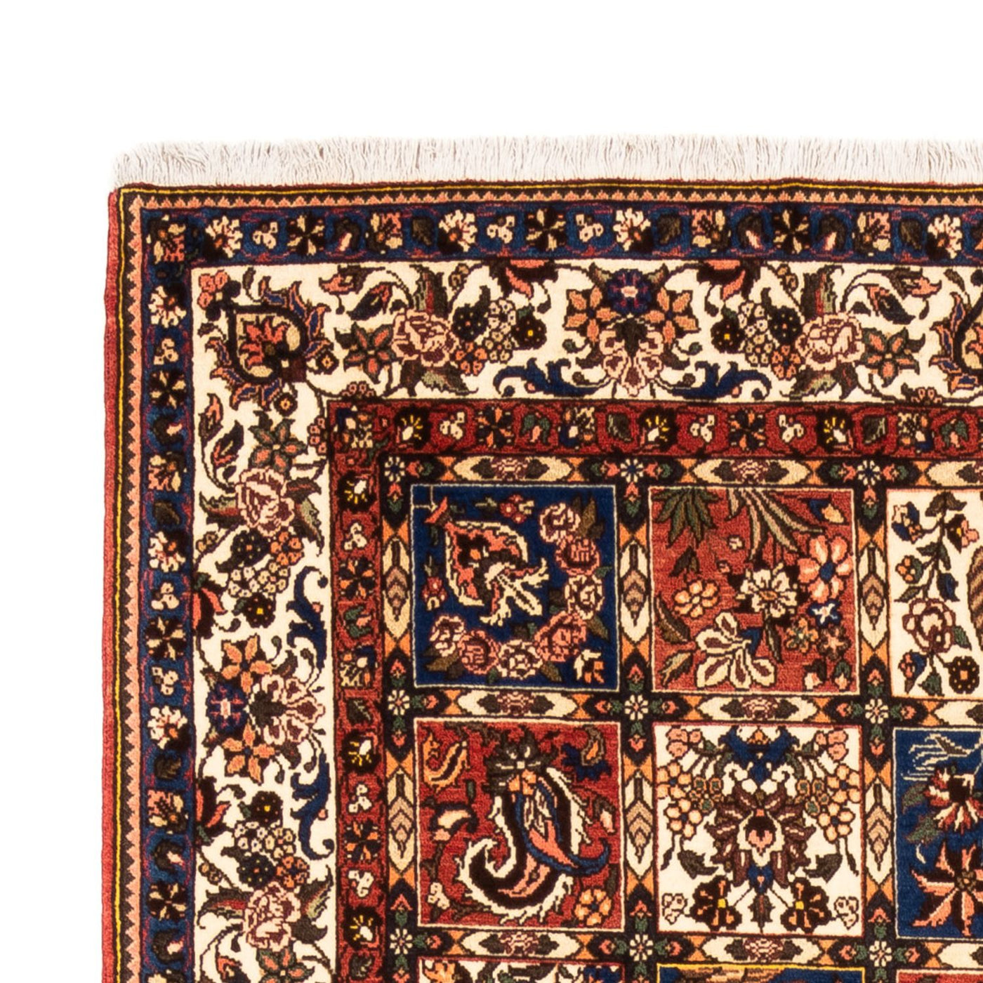 Bakhtiari Mattan 240x158cm - Persisk matta