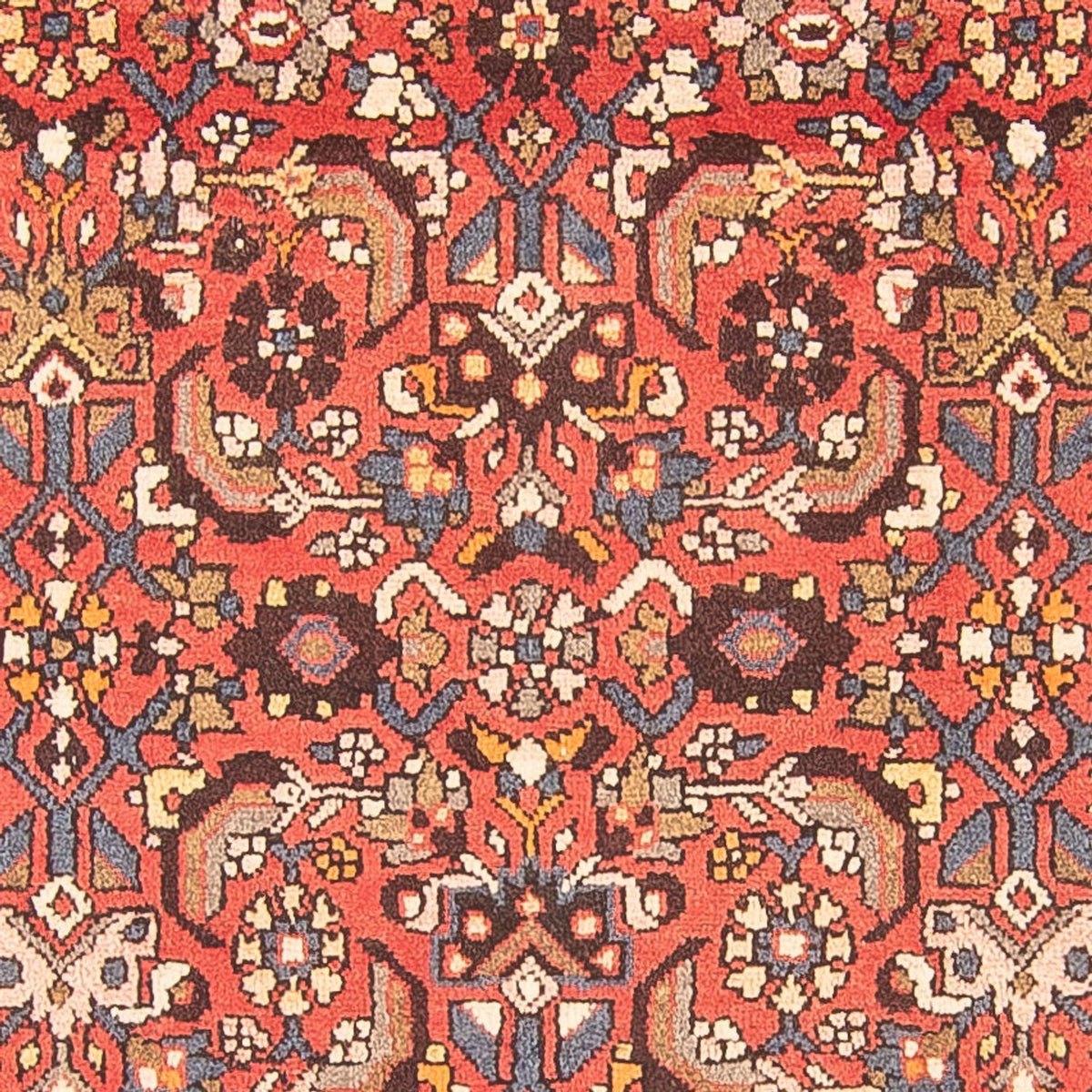 Runner Persisk matta - Nomadic - 322 x 115 cm - röd