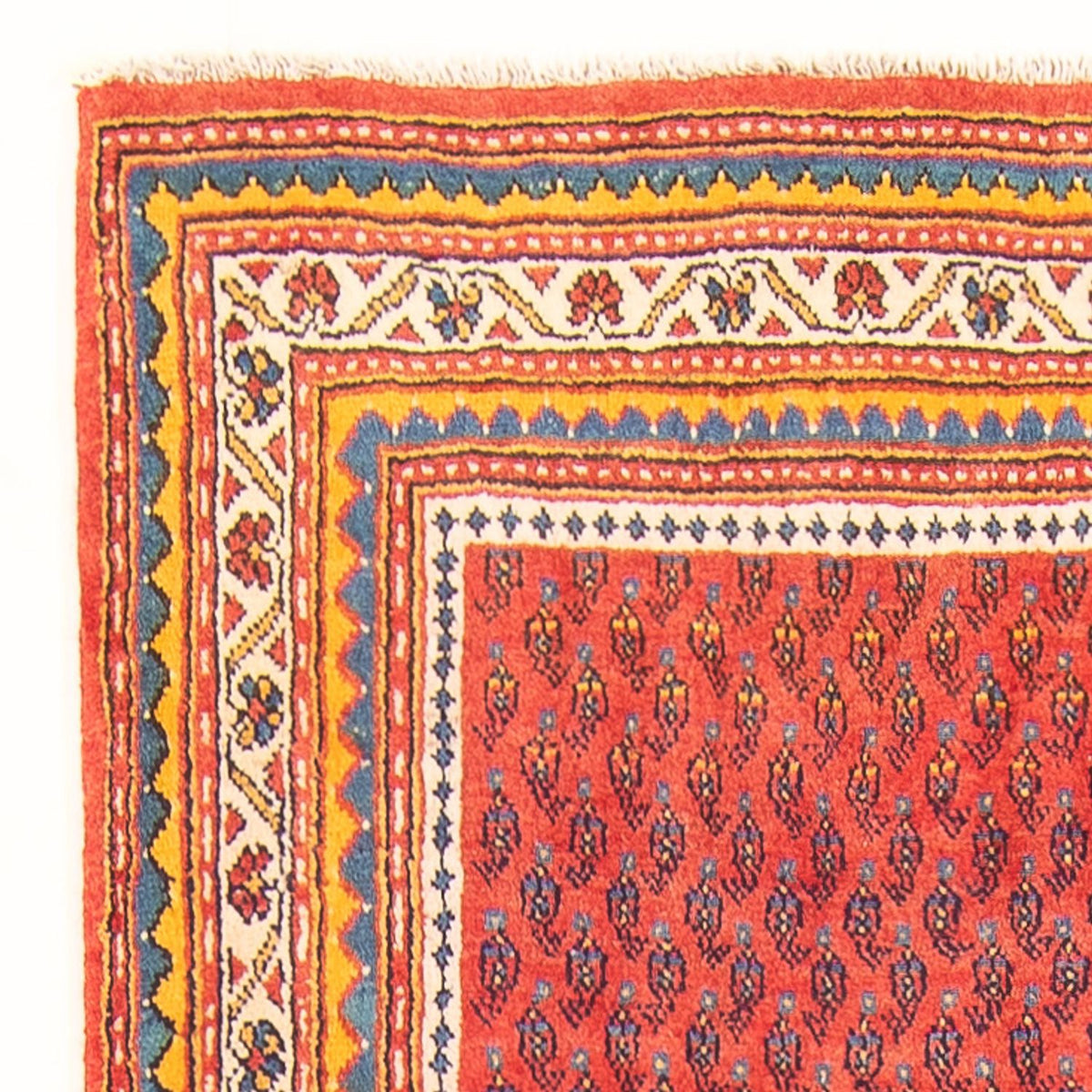 Sarouk Mattan 118x328cm - Persisk matta