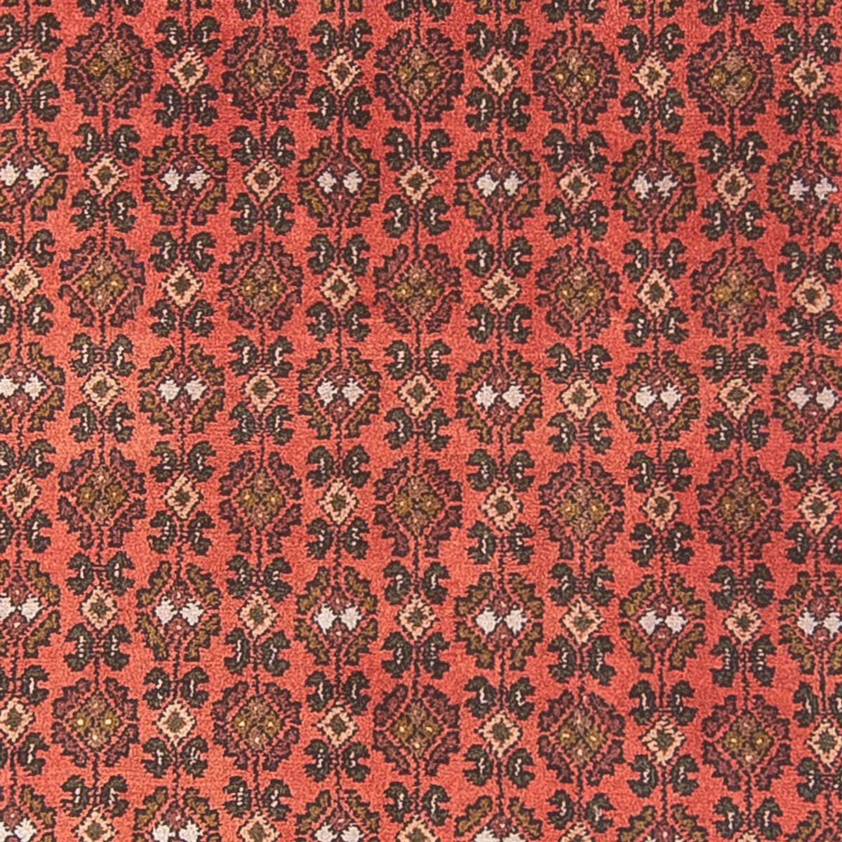 Runner Persisk matta - Nomadic - 294 x 101 cm - röd