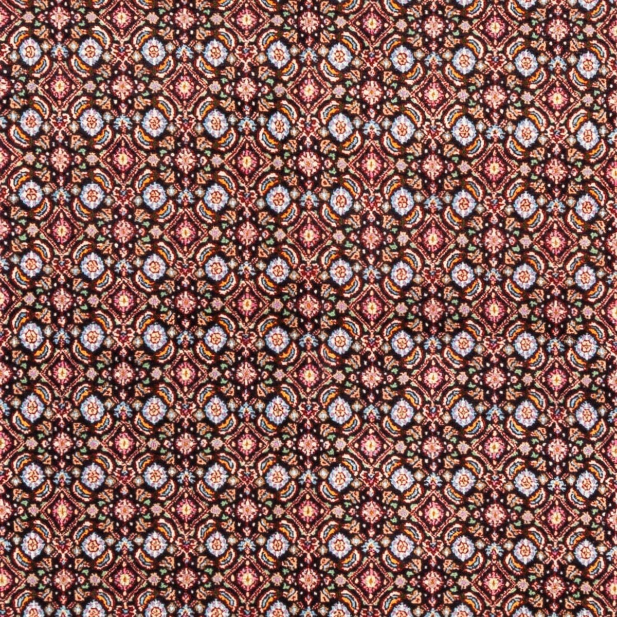 Persisk matta - Classic kvadrat  - 195 x 193 cm - mörkblå