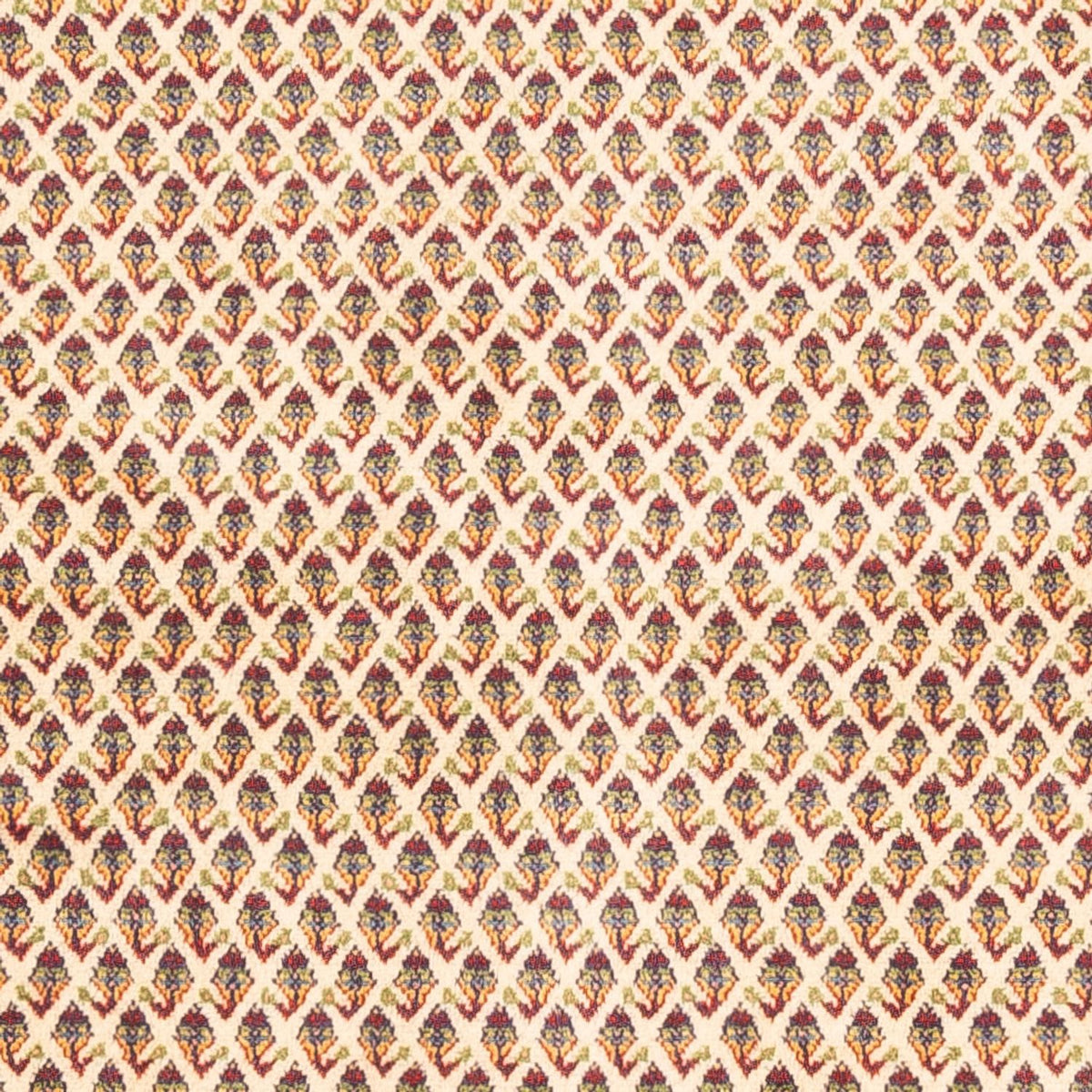 Persisk matta - Mir - 254 x 213 cm - ljusbeige