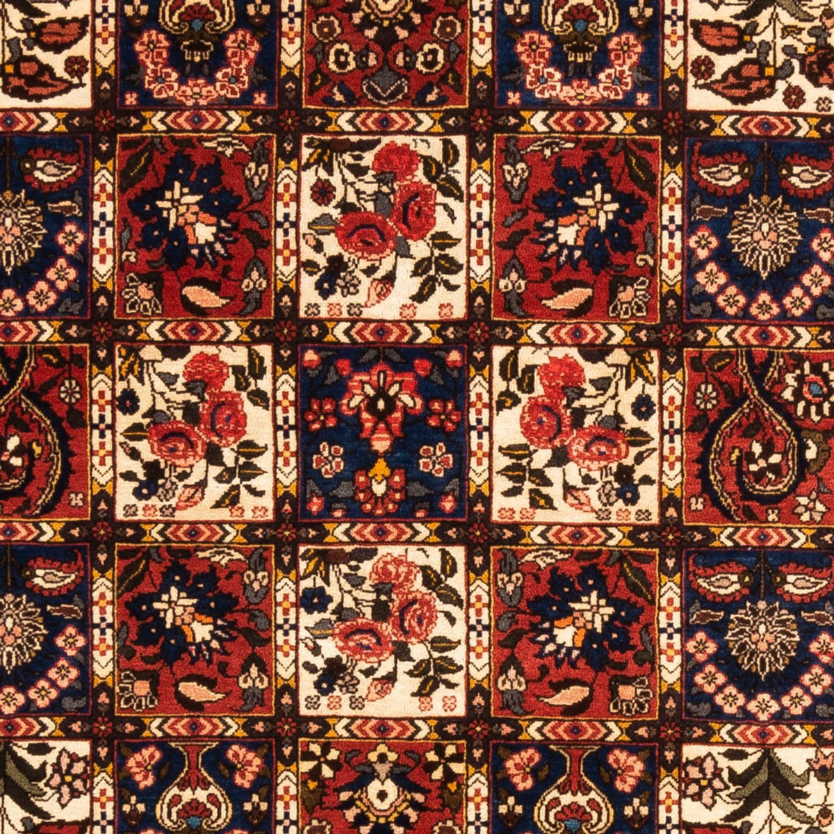 Persisk matta - Nomadic - 250 x 155 cm - flerfärgad