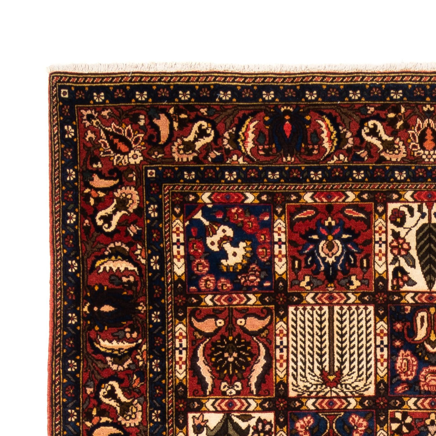 Bakhtiari Mattan 250x155cm - Persisk matta