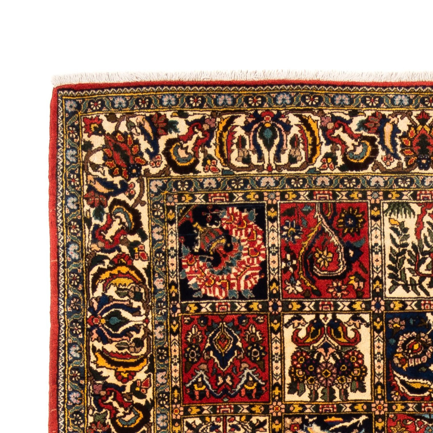 Bakhtiari Mattan 250x155cm - Persisk matta